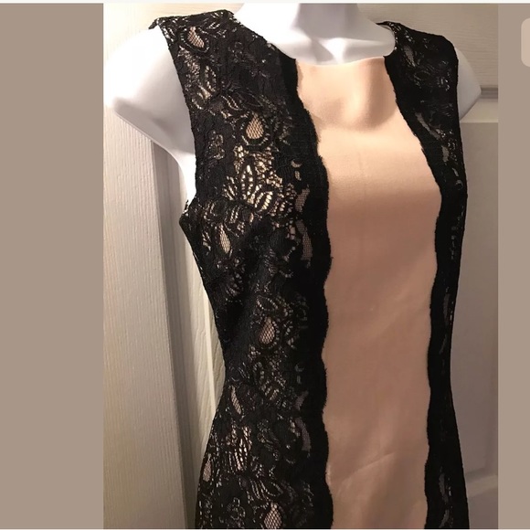 BOSTON PROPER Lace Pink Nude Black Shift Dress Cocktail Wedding - Picture 5 of 10